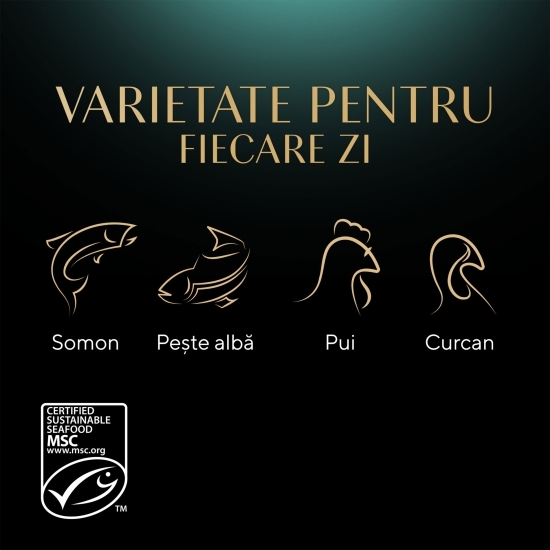 Hrană umedă pentru pisici adulte, 4x85g, selecție mixtă în aspic