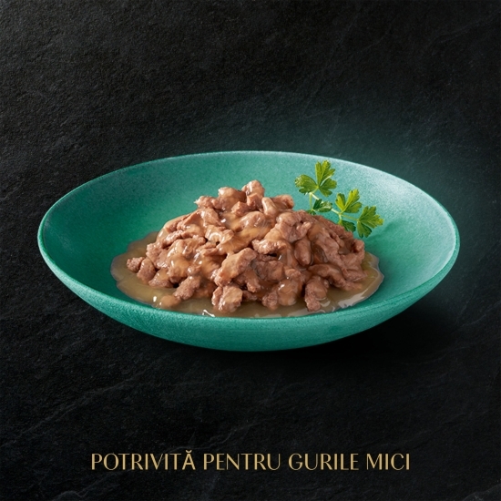 Hrană umedă pentru pisici junioare, 4x 85g, selecție mixtă în sos