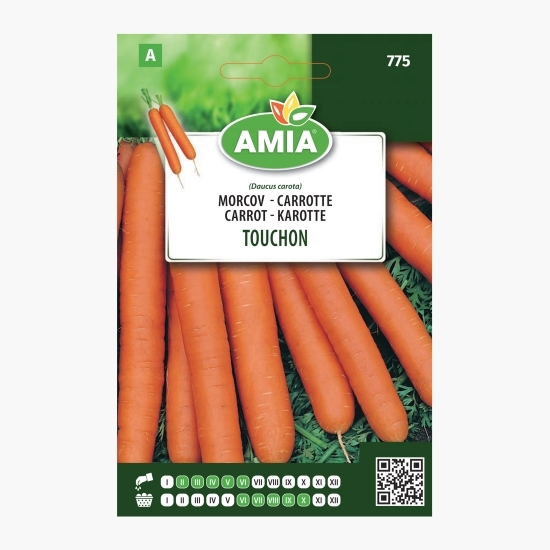 Semințe morcov Touchon