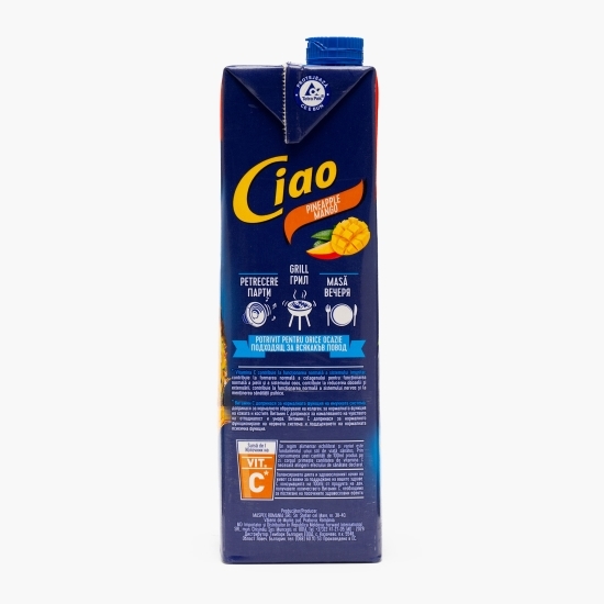 Băutură necarbogazoasă cu ananas și mango, 2l