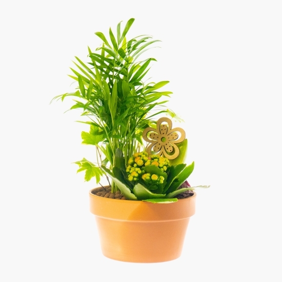 Aranjament flori primăvară 20cm