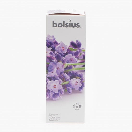 Odorizant cu beţişoare pentru casă Lavandă