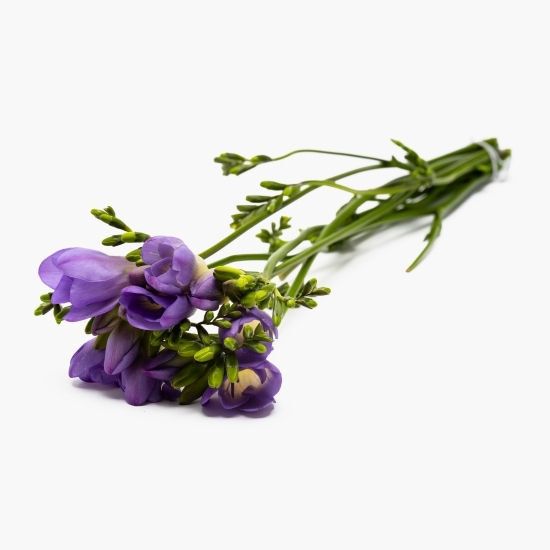 Buchet frezii, 5 fire, diverse culori