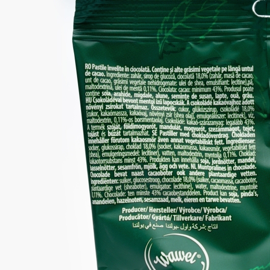 Bomboane de ciocolată cu cremă de mentă 165g