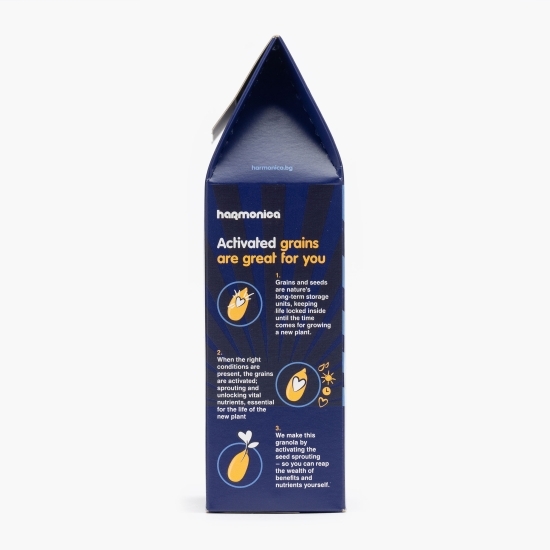 Granola ecologică cu afine și vanilie 250g