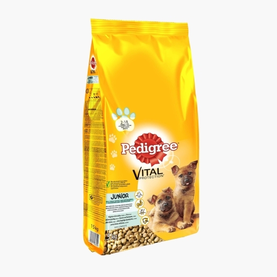 Hrană uscată pentru câini Junior de talie mare, 15kg, cu pui și orez