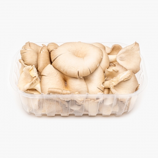 Ciuperci pleurotus România 500g