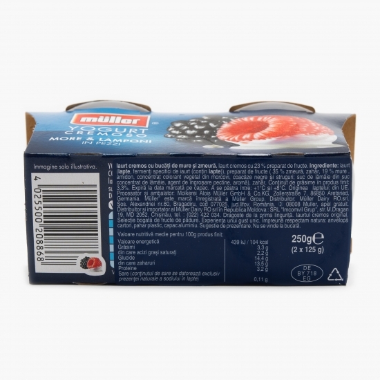 Pachet iaurt cu bucăți de mure și zmeură 2x125g