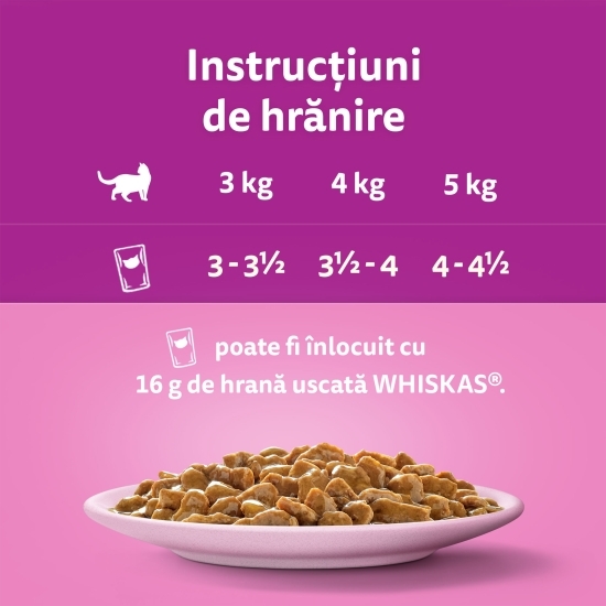 Hrană umedă pentru pisici adulte, 85g, cu somon