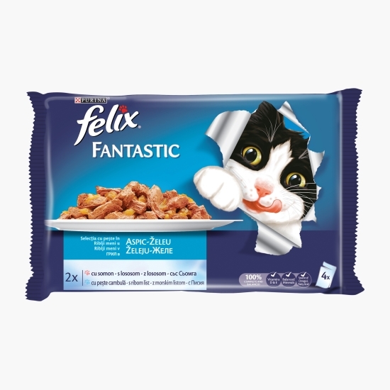 Hrană umedă pentru pisici, 4x100g, selecție mixtă somon-pește Cambula (2x2x100g)