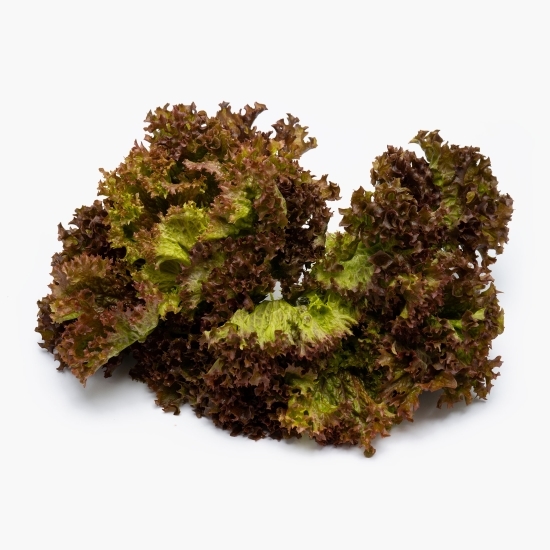 Salată Lollo rossa 1 buc