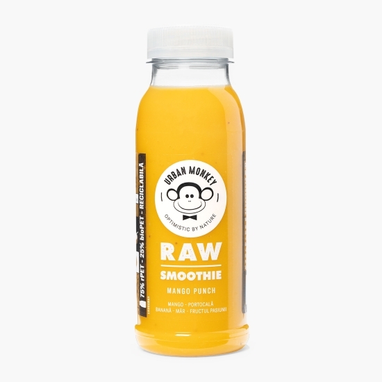 Raw smoothie Mango Punch 0.25l 