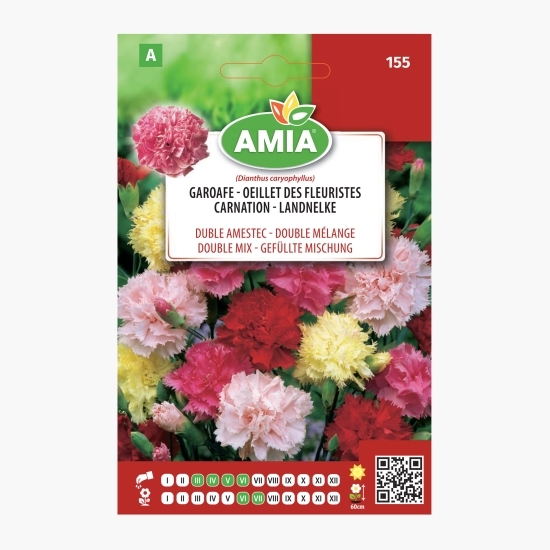 Semințe Garoafe duble - amestec culori 0.3g