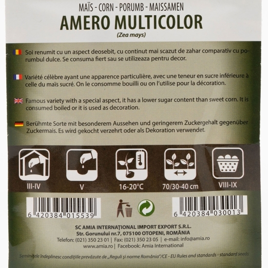 Semințe porumb dulce Amero multicolor 7g