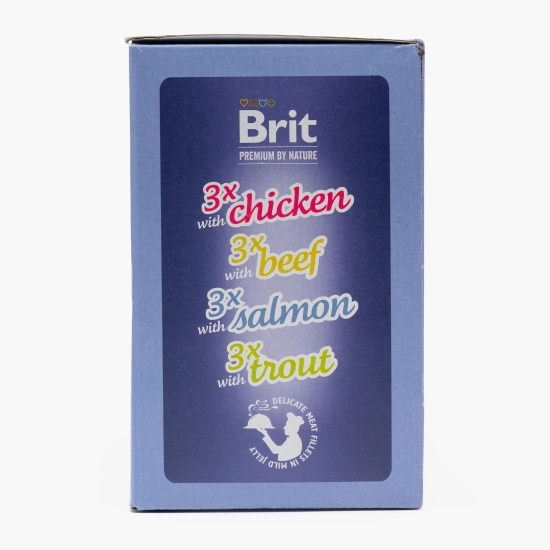 Pachet mix hrană umedă pentru pisici adulte (pui, vită, somon și păstrăv), 12x85g