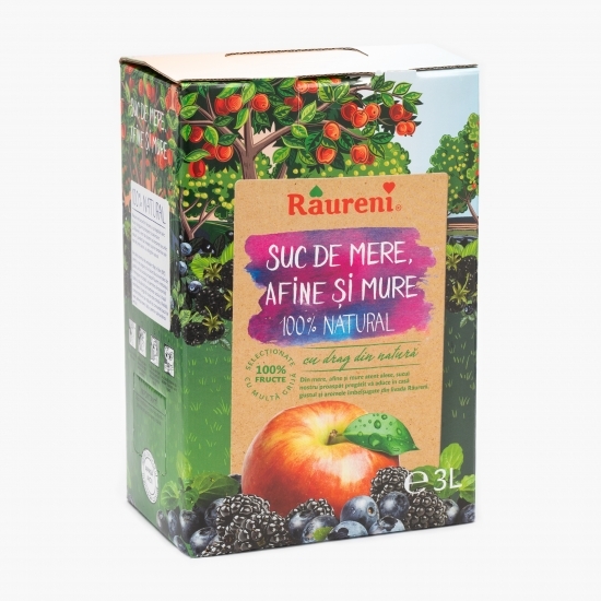 Suc de mere, afine și mure 3l