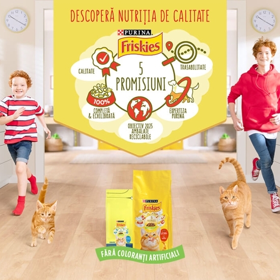 Hrană uscată pentru pisici adulte indoor, 1.5 kg, cu pui și legume