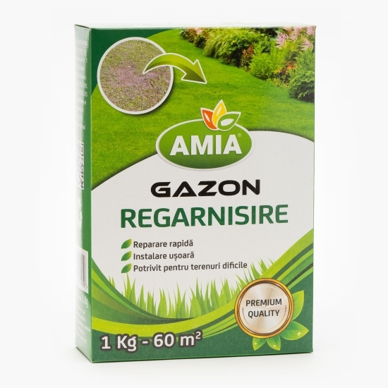 Gazon regarnisire 1kg