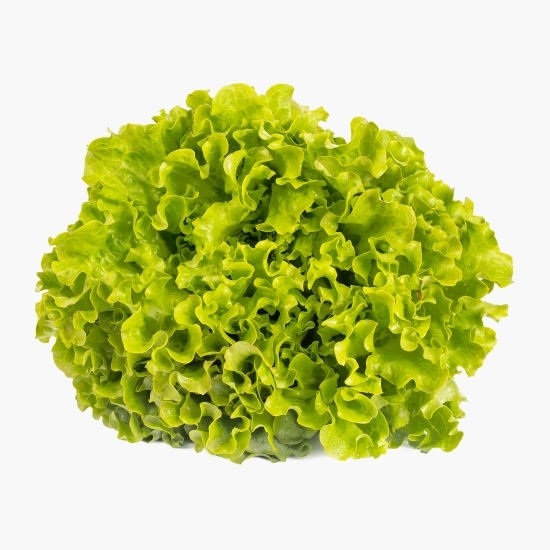 Salată creață România 1 buc