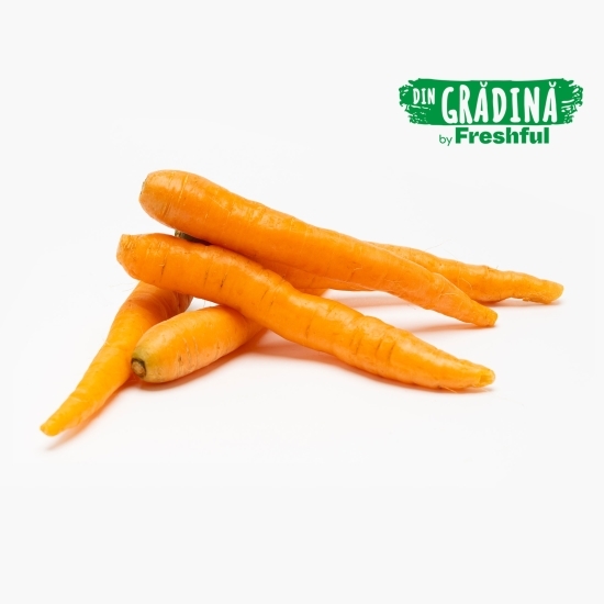 Morcovi România 1kg Camen din Băleni