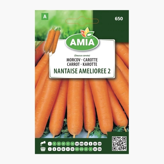 Semințe morcov Nantaise Amelioree