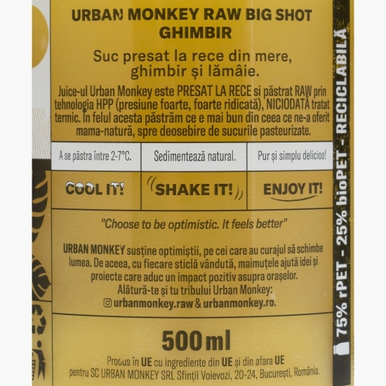 Big shot cu ghimbir 0.5l 