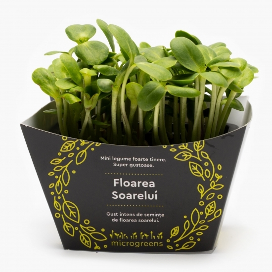 Mix de microplante pentru salată (varză roșie, măcriș verde, floarea-soarelui, mazăre)