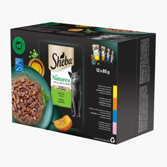 Hrană umedă pentru pisici adulte, selecție mixtă în sos 12x 85g