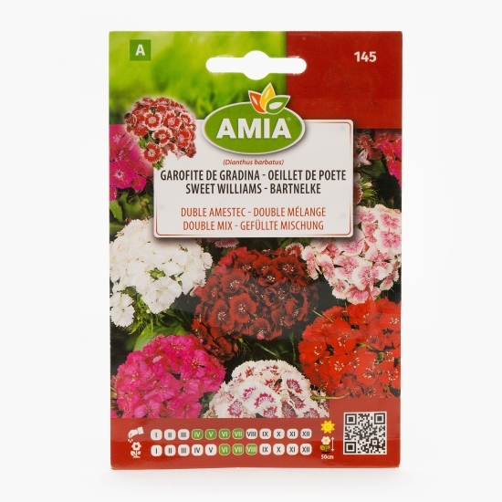 Semințe de garofițe de gradină, amestec de culori 1.5g