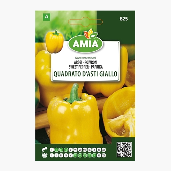 Semințe ardei quadrato d'asti giallo