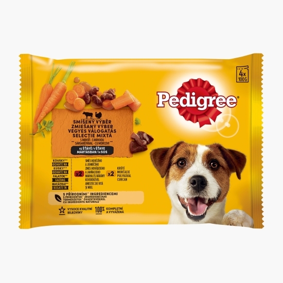 Hrană umedă pentru câini adulți, 4x100g, selecție delicioasă în sos 