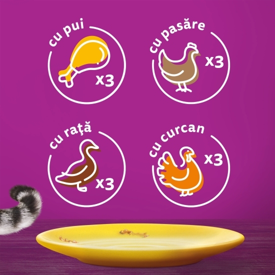 Hrană umedă pentru pisici adulte, 12 x 85g, cu carne de pasăre în sos 