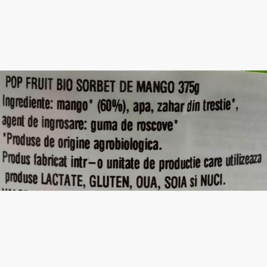 Sorbet de mango eco 375g