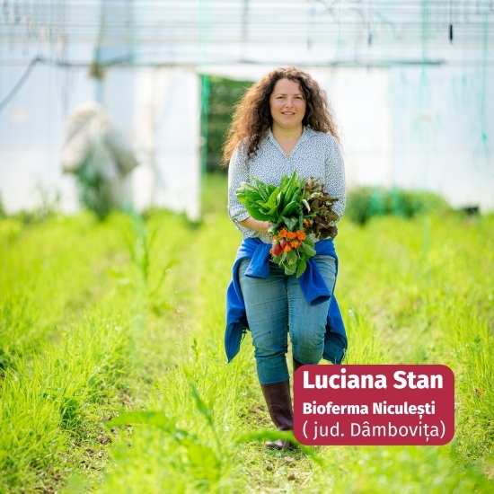 Salată verde Bionda eco 1 bucată, Bioferma Niculești
