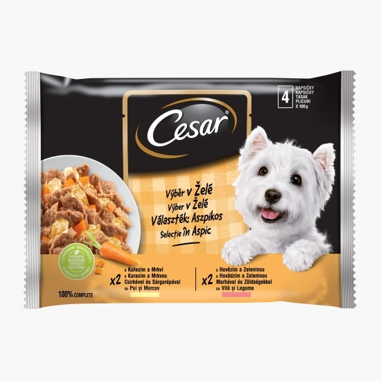 Hrană umedă pentru câini adulți, 4x100g, selecții de carne și legume în aspic
