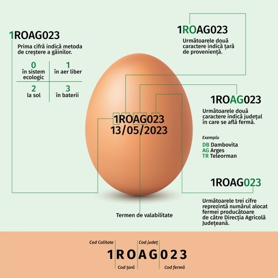 Ouă ecologice mărimea M/L, 10+2 buc