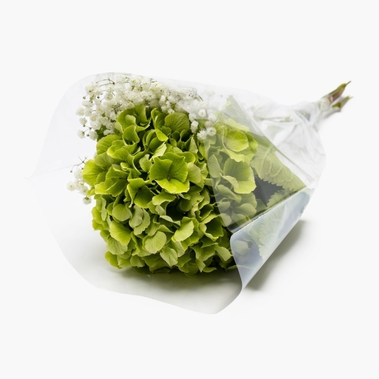 Buchet Hortensia, diverse culori, 1 fir