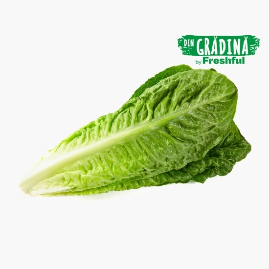 Salată Romană verde eco 1 bucată, Bioferma Niculești