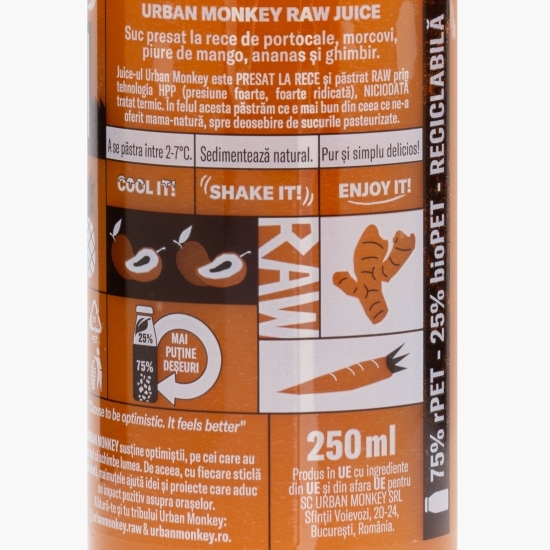 Raw juice Mango Ninja 0.25l