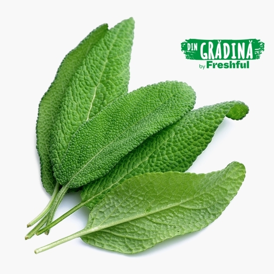 Salvie eco, proaspătă din fermă 25g