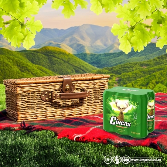 Bere blondă doză 6x0.5l