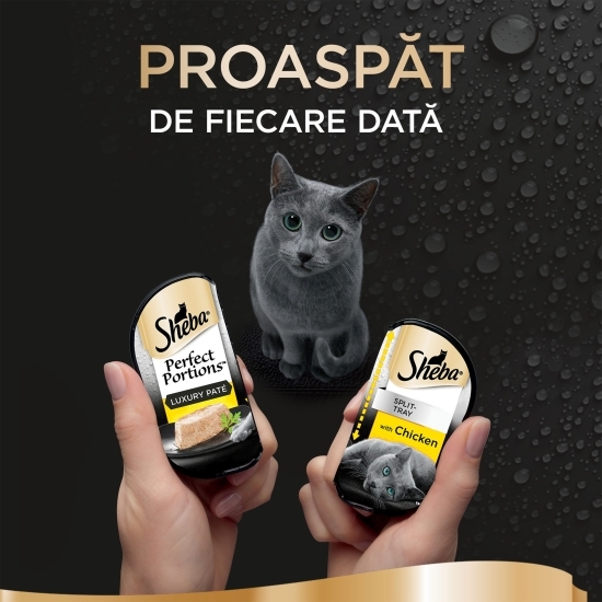 Hrană umedă pentru pisici adulte, 6x37.5g, Perfect Portions cu pui