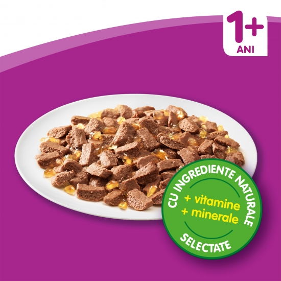 Hrană umedă pentru pisici adulte, 12x100g, cu carne de pasăre în aspic