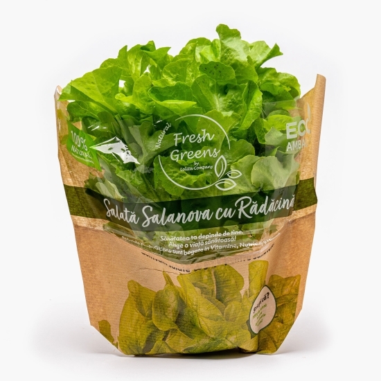 Salată Salanova cu rădăcină 1 buc