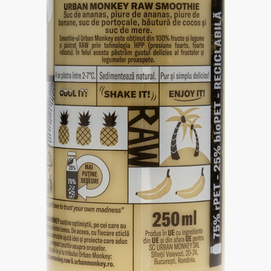 Raw smoothie Pina Coolada 0.25l