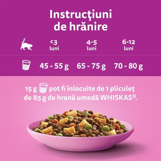 Hrană uscată pentru pisici junior, 800g, cu pui 