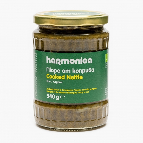 Piure de urzică eco 540g