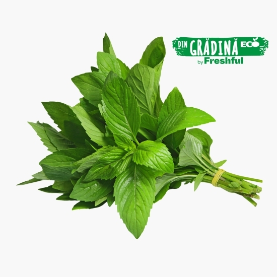 Mentă eco 50g