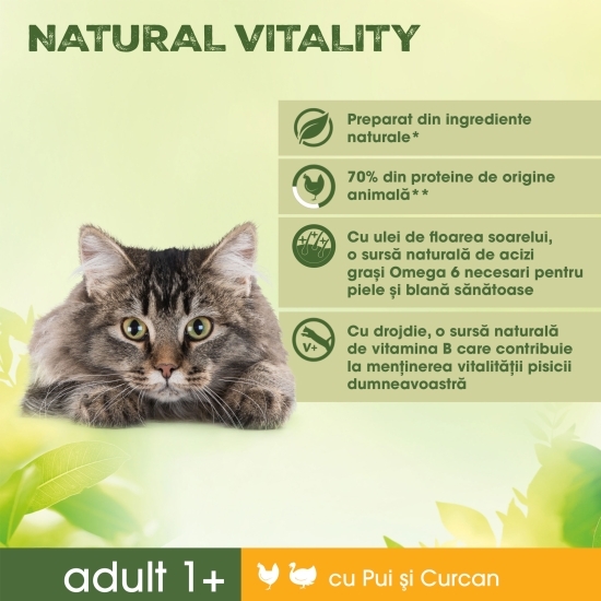 Hrană uscată pentru pisici, 650g, cu pui și curcan