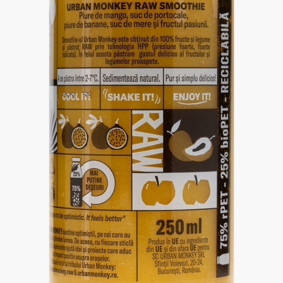 Raw smoothie Mango Punch 0.25l 